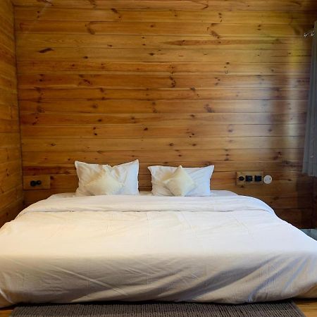 Sugar Cube Retreat Pansiyon Shimla Dış mekan fotoğraf