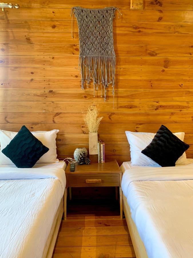 Sugar Cube Retreat Pansiyon Shimla Dış mekan fotoğraf